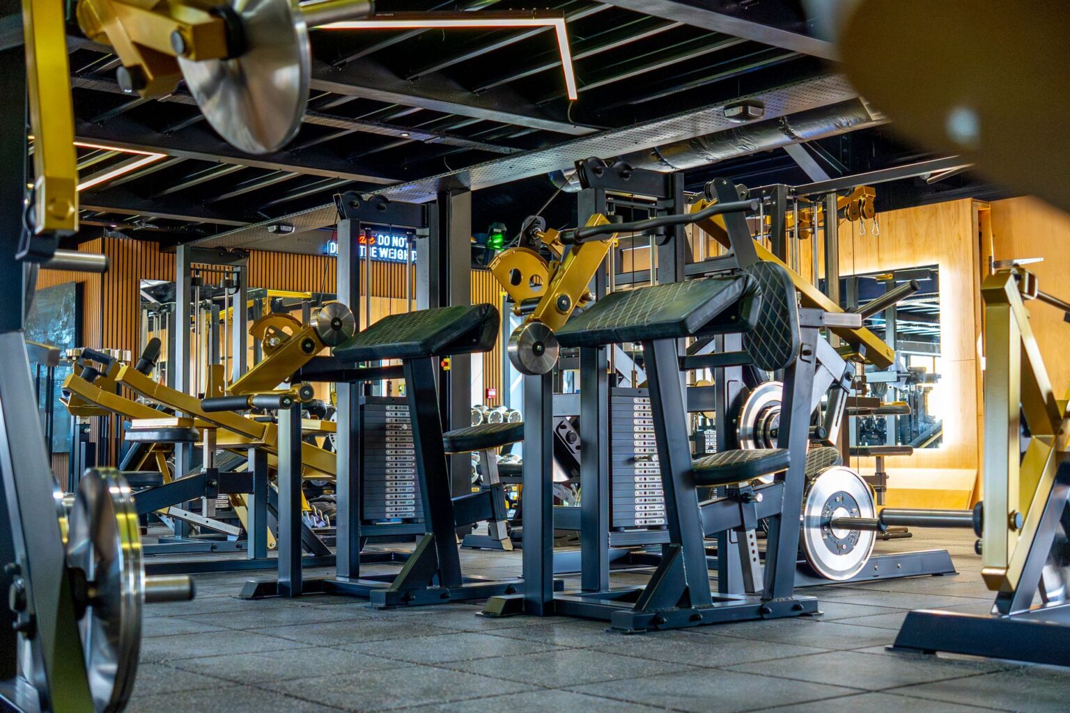 DSC03123-Enhanced-NR